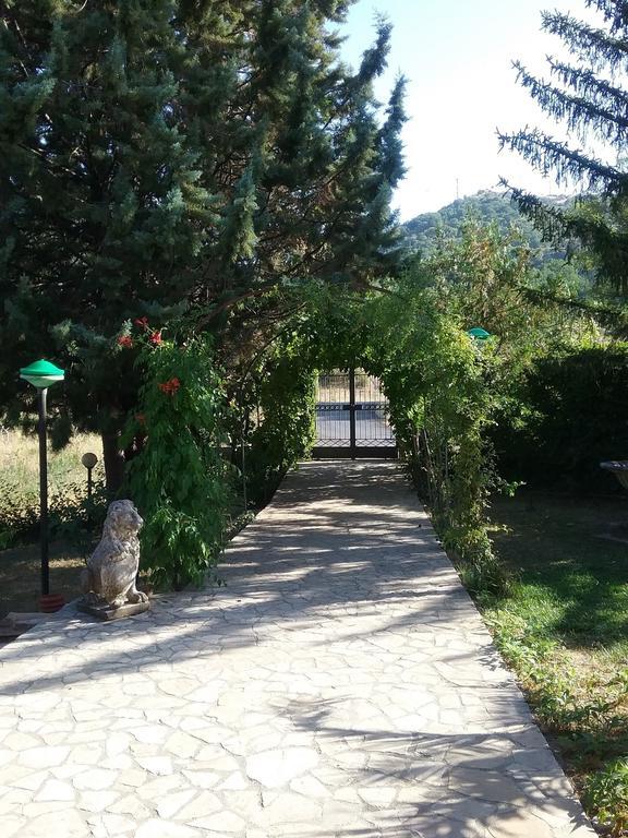 B&B Villa Damiani Бриндизи-ди-Монтанья Экстерьер фото